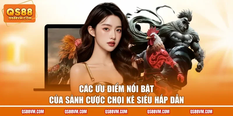 Các ưu điểm nổi bật của sảnh cược chọi kê siêu hấp dẫn