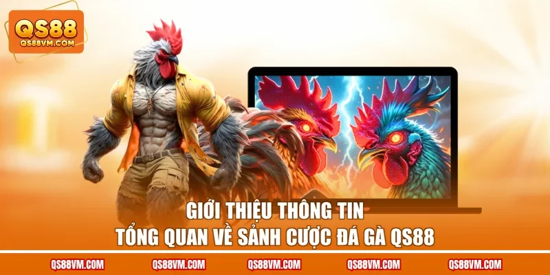 Giới thiệu thông tin tổng quan về sảnh cược đá gà QS88