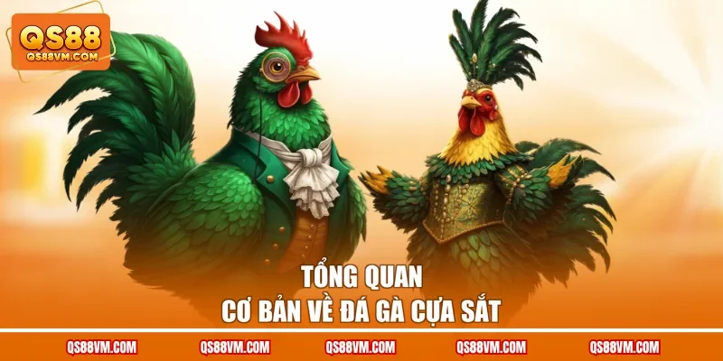 Tổng quan cơ bản về đá gà cựa sắt